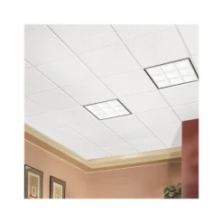 Ceiling Tiles<Armstrong FISSURED Angled Tegular Edge Ceiling Tile, 24" x 24", White, 16/Carton (BP705A)