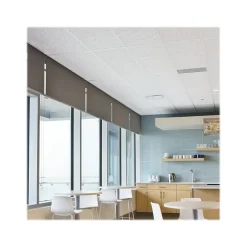 Ceiling Tiles<Armstrong FISSURED Square Lay-In Edge Ceiling Tile, 24" x 48", White, 6/Carton (BP895A)