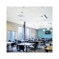 Ceiling Tiles<Armstrong GEORGIAN Square Lay-In Edge Ceiling Tile, 24" x 48", White, Dozen (BP763D)