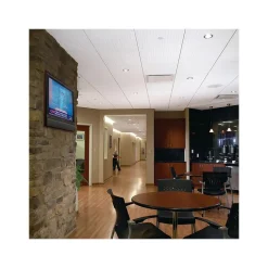 Ceiling Tiles<Armstrong GRAPHIS Rustex Beveled Tegular Edge Ceiling Tile, 24" x 24", White, 12/Carton (BP2600)