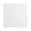 Ceiling Tiles<Armstrong KITCHEN ZONE Square Lay-In Edge Ceiling Tile, 24" x 24", White, 16/Carton (BP673)