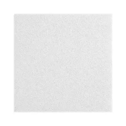 Ceiling Tiles<Armstrong LYRA Plant-Based Square Lay-In Ceiling Tile, 24" x 48", White, Dozen (BP8373PB)