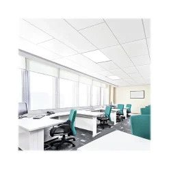 Ceiling Tiles<Armstrong LYRA Plant-Based Square Tegular Edge Ceiling Tile 15/16, 24" x 24", White, 12/Carton (BP8360EPB)