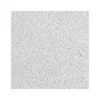 Ceiling Tiles<Armstrong MESA Beveled Tegular Edge Ceiling Tile, 24" x 24", White, 12/Carton (BP682)