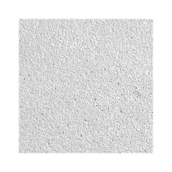 Ceiling Tiles<Armstrong MESA Square Lay-In Edge Ceiling Tile, 24" x 24", White, Dozen (BP680)