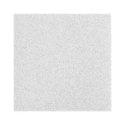 Ceiling Tiles<Armstrong OPTIMA Square Lay-In Edge Ceiling Tile, 24" x 24", White, 24/Carton (BP3152)