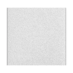 Ceiling Tiles<Armstrong OPTIMA Square Tegular Edge Ceiling Tile, 48" x 48", White, 6/Carton (BP3256B)