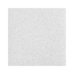 Ceiling Tiles<Armstrong OPTIMA Square Tegular Edge Ceiling Tile, 48" x 48", White, 6/Carton (BP3256B)