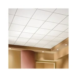 Ceiling Tiles<Armstrong OPTIMA Square Tegular Edge Ceiling Tile 15/16, 24" x 24", White, 12/Carton (BP3250E)