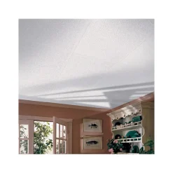 Ceiling Tiles<Armstrong RANDOM FISSURED Square Lay-In Edge Perforated Ceiling Tile, 24" x 48", White, 16/Carton (BP2910A)