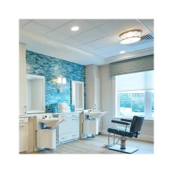 Ceiling Tiles<Armstrong SHASTA Square Lay-In Edge Ceiling Tile, 24" x 48", White, 16/Carton (BP2906)