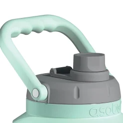 ASOBU Stainless Steel Insulated Mini Jug, 33 oz., Mint (NA-SJU3MINT)