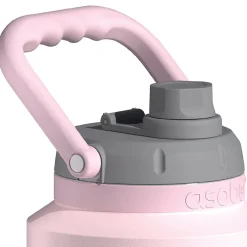 ASOBU Stainless Steel Insulated Mini Jug, 33 oz., Pink (NA-SJU3P)