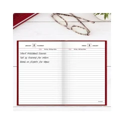 AT-A-GLANCE Standard Hardcover 2025 Daily Diary, 5.75" x 8.25", Wide-Ruled, Red (SD387-13-25) Best