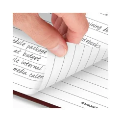 AT-A-GLANCE Standard Hardcover 2025 Daily Reminder, 5.75