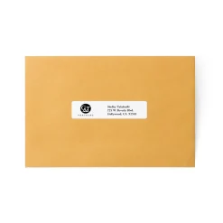 Avery Computer Labels, Dot Matrix Labels and Pin-Feed Labels, 15/16" x 4", White, 5,000 Labels/Pack (4065)* Address Labels