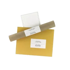 Avery Computer Labels, Dot Matrix Labels and Pin-Feed Labels, 2-15/16" x 5", White, 3,000 Labels/Pack (4076) Online