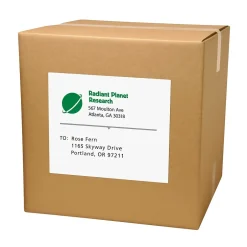 Avery Laser/Inkjet Shipping Labels, 8-1/2" x 11", White, 250 Labels/Box (95920)* Shipping Labels