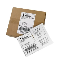 Avery Laser/Inkjet Shipping Labels with Paper Receipts, 5-1/16" x 7-5/8", White, 100 Labels/Box (27900)* Shipping Labels