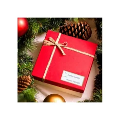 Avery Laser/Inkjet Shipping Labels, 2