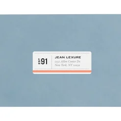 Avery Mini-Sheets Laser/Inkjet Address Labels, 1" x 2-5/8", White, 200 Labels/Pack (2160)* Address Labels