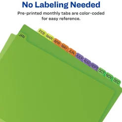 Avery Plastic Pre-Printed Monthly Plastic Divider, Jan-Dec Tabs, Multicolor, 1 Set (11331) Sale