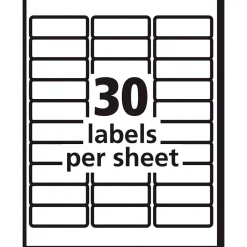 Avery Sure Feed Inkjet Address Labels, 1" x 2-5/8", White, 600 Labels/Pack (8250)* Address Labels