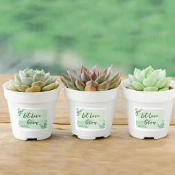 Avery Sure Feed Laser/Inkjet Durable ID Labels, 2