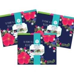 Barker Creek File Folder Set, 1/3-Cut Tab, Letter-Size, Petals & Prickles, 36/Set (4371) Online