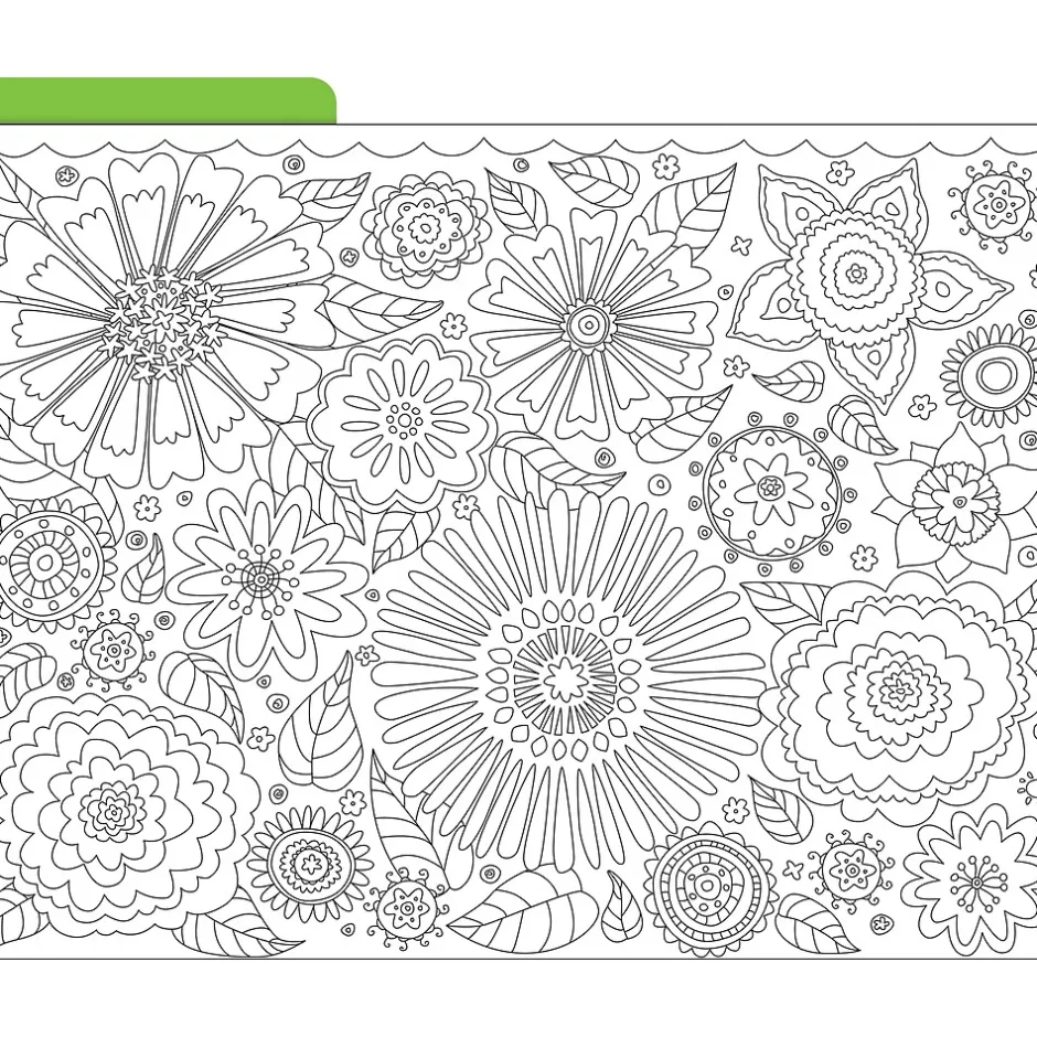 Barker Creek Color Me! File Folder Set, 1/3-Cut Tab, Letter Size, In My Garden, 12/Pack (2008) Sale