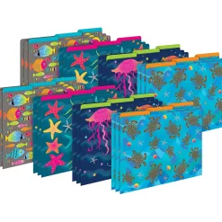Barker Creek File Folder Set, 1/3-Cut Tab, Letter Size, Kai Ola, 24/Set (4382) Discount