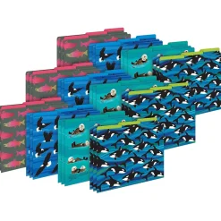 Barker Creek Sea & Sky File Folder, 1/3-Cut Tab, Letter Size, Assorted, 36/Set (4405) Hot