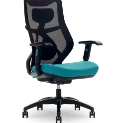 Discount Duo-EX Ergonomic Mesh Swivel Computer Chair, (60051-TEL) Office Chairs