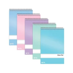 Better Office Steno Pads, 6" x 9", Gregg-Ruled, Assorted Colors, 80 Sheets/Pad, 10 Pads/Pack (25810-10PK) Outlet