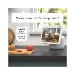 Security Cameras & Systems<Blink Mini Pan-Tilt Wireless Camera, White (B09N6YCT3Y)