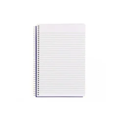 Blueline Notes Steno Pad, 6