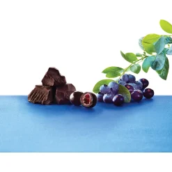 Chocolate<Brookside Dark Chocolate Acai and Blueberry Flavors, 21 Ounces, 2/BD (HEC91145)
