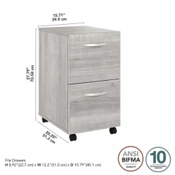 Clearance Studio A 2-Drawer Mobile Vertical File Cabinet, Letter/Legal Size, Lockable, (SDF116PGSU-Z) File Cabinets