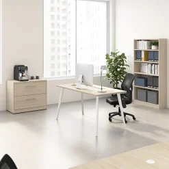 Sale Vista 2 Drawer File Cabinet, Natural Elm (VSF136NESU) File Cabinets