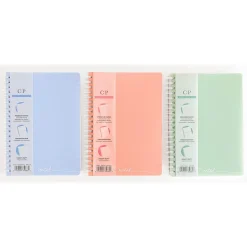 Carolina Pad Noted Executive Professional Notebook, 5.25