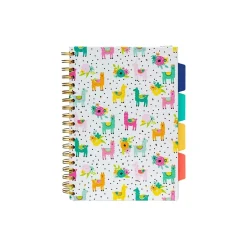 Carpe Diem Color Wash 5-Subject Subject Notebooks, 7.09
