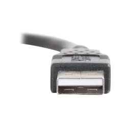 Usb Cables<C2G Cables to Go C2G 6.56' USB A Male/A Male, Black (28106)