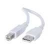 Usb Cables<C2G Cables to Go 6.6' USB A to USB B Cable, Male to Male, White (13172)
