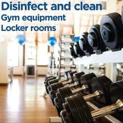 Clorox Disinfecting Wipes, Fresh Scent, 900/Carton (60048)