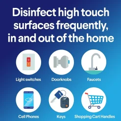 Clorox Disinfecting Wipes, Fresh Scent, 900/Carton (60048)