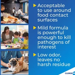 CloroxPro Anywhere Daily Disinfectant & Sanitizer, 1 gal., 4/Carton (31651)