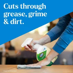 Clorox Pro EcoClean All-Purpose Cleaner Spray Bottle, 32 fl. oz., 9/Carton (60276)