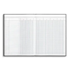 Online Columnar Book, 12-Columns, 7.25" x 9.5", Blue Marble, 40 Sheets/Book (217976ABF) Accounting & Record Journals