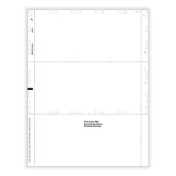 Online 2024 1099 Tax Form, 1-Part, 500 (PSB99Z) Tax Forms