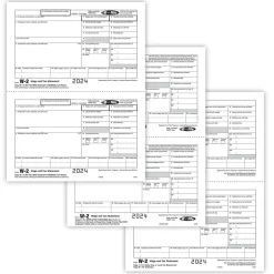 Hot 2024 W-2 Tax Form Recipient Copy Only, 5-Part, 2-Up, Copy B, C/2, D/1, 50/Pack (5648) Tax Forms